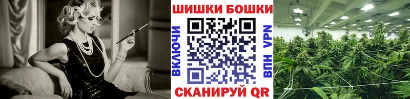 Продажа наркотиков Кировск Галлюциногенные грибы  APVP  kraken ТОР  Марихуана  МЕФ  БУТИРАТ 