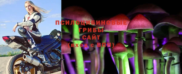 MDMA Premium VHQ Бородино