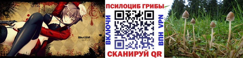 OMG как войти  Кировск  Галлюциногенные грибы прущие грибы 